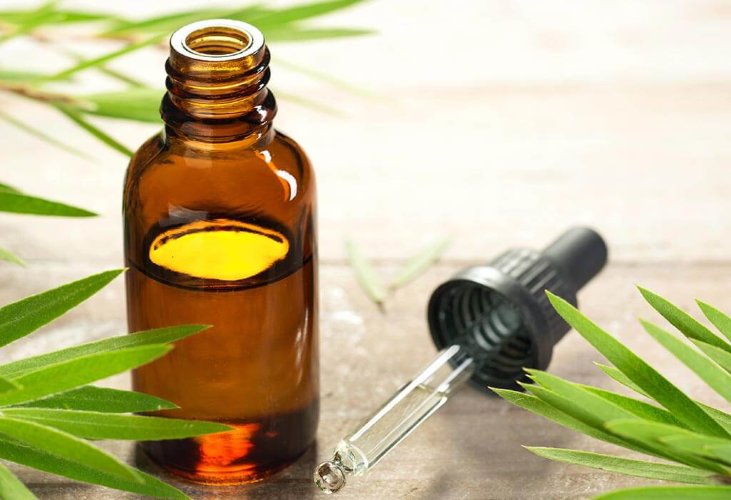 Эфирное масло Чайного дерева  